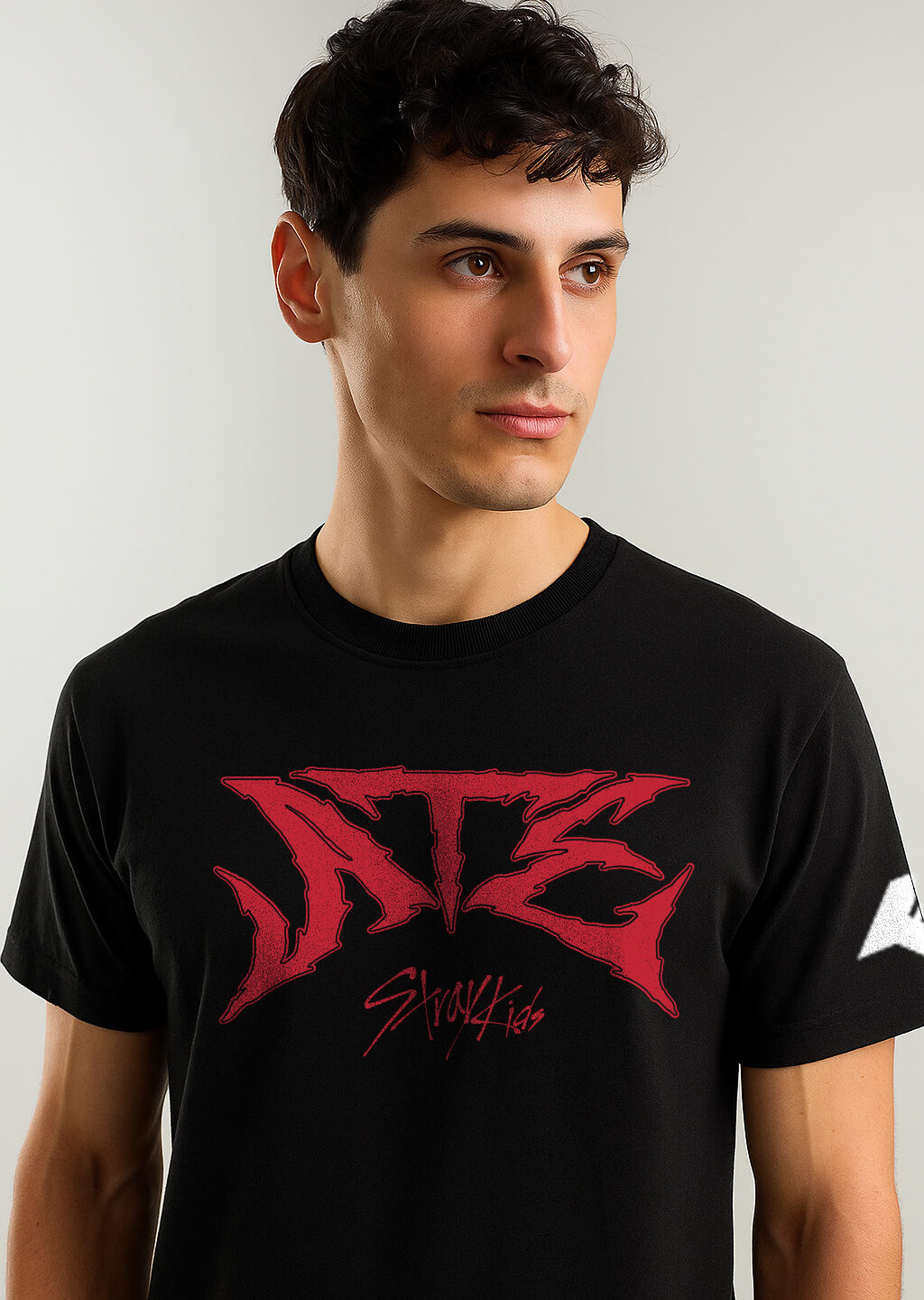 Stray Kids ATE Album T-shirt India
